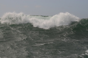 bølger